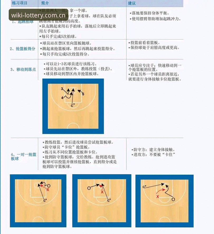 揭秘维基体育平台高效使用的完整教程与实用技巧